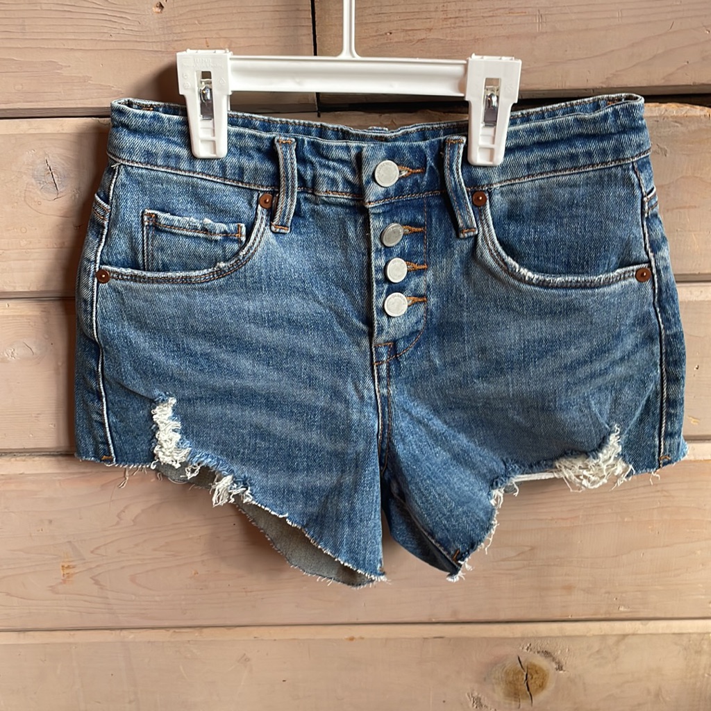 Nwot Blank Nyc Shorts